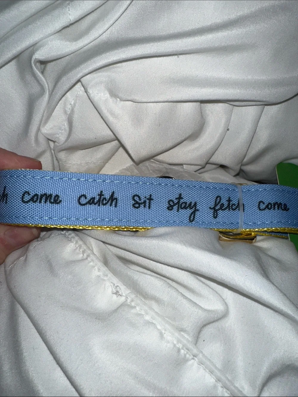 NWT Kate  spade Light Blue and Yellow Pet Collar with Gold Hardware m/l nice